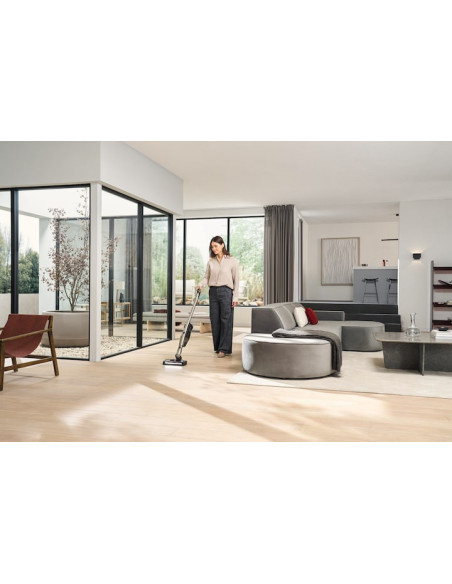 Triflex HX3 Plus Titanijum PF - Baterijski usisavači